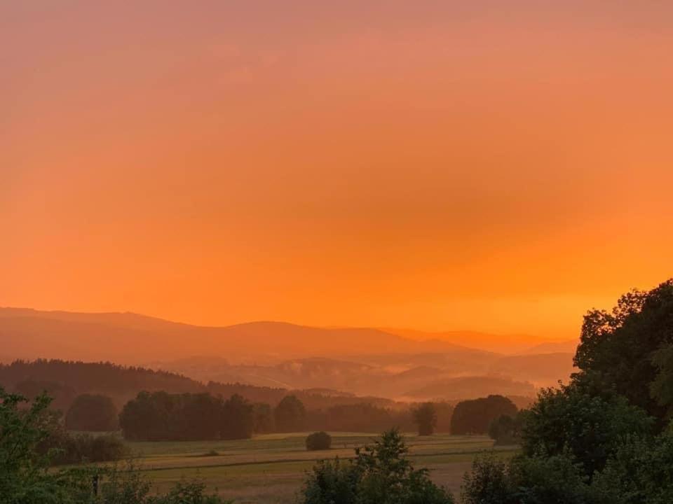 Burggasthof Weissenstein Regen Eksteriør billede